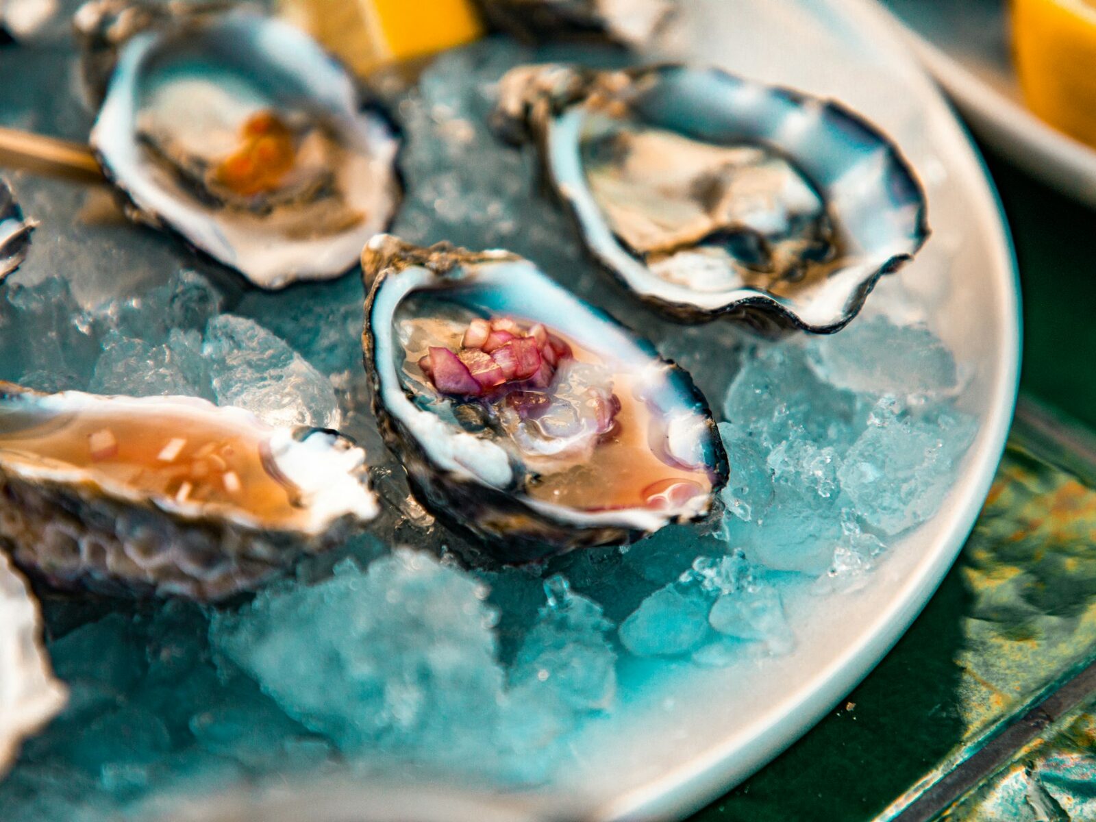 Coastal Catch — Spring