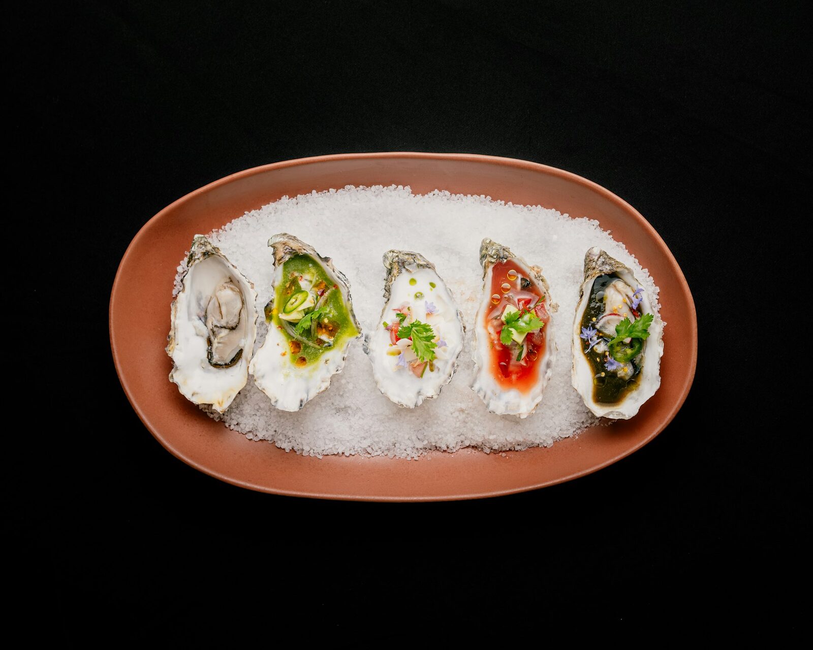 Coastal Catch — Winter