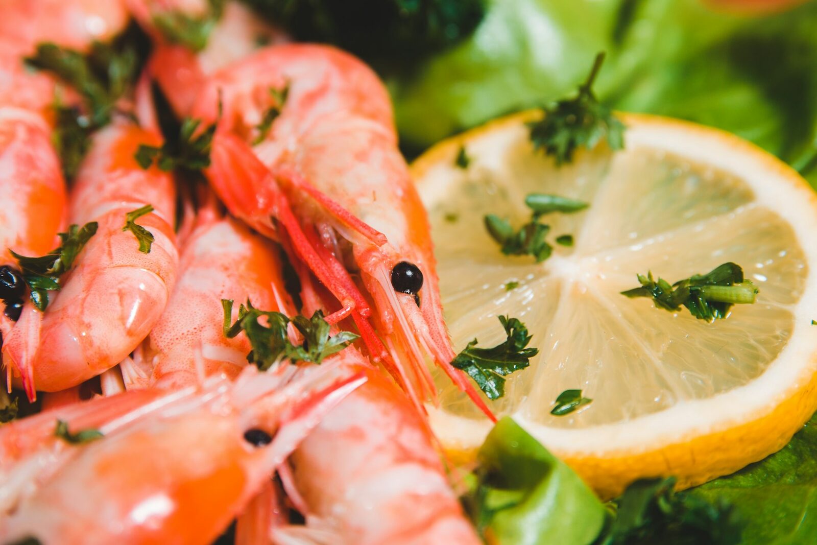 Cook Together — Summer