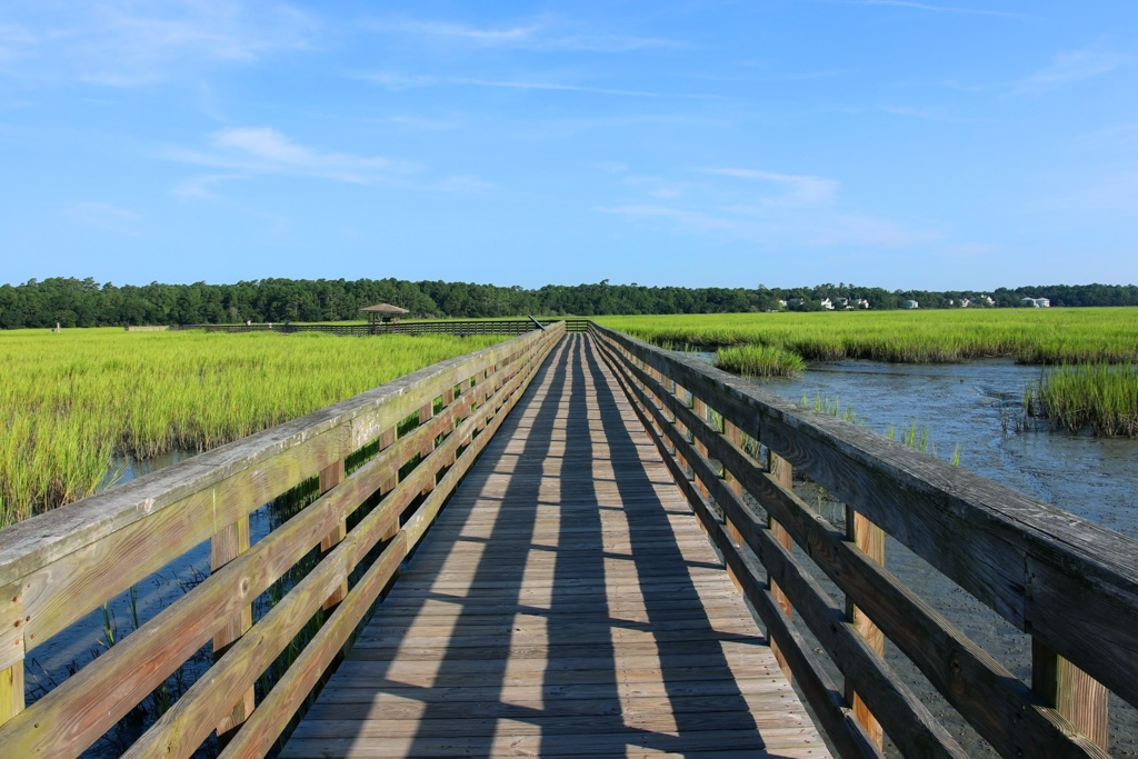 Boardwalk across salt marsh at Ocean Creek Nature Preserve