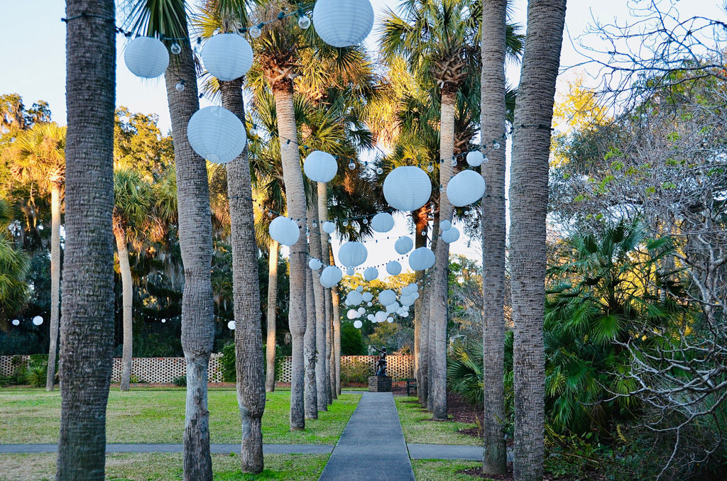 Elegant palm-lined garden near Myrtle Beach
